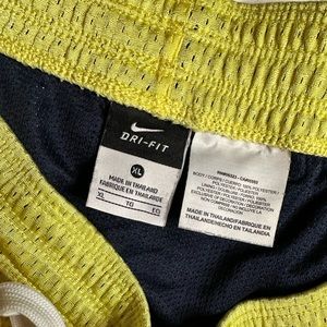 Nylon Mesh Nike Shorts in XL. The comfiest.